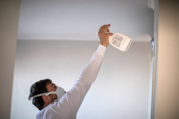 Best Professional Mold Removal  in Canton, PA