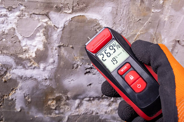 Best Best Mold Removal Companies  in Canton, PA